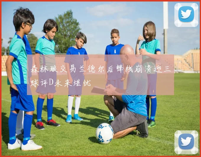 森林狼交易兰德尔后锋线崩溃迎三球评D未来堪忧