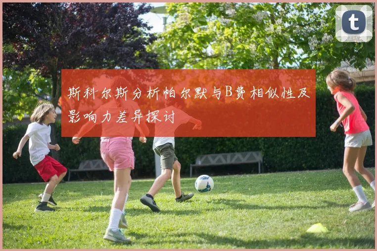 斯科尔斯分析帕尔默与B费相似性及影响力差异探讨
